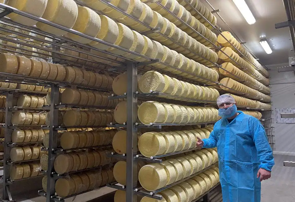 Halal and Haram Food Additives