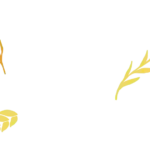 aichy_Modified_Starch_Success_Stories_HTmYVILA2